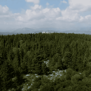 Περιαστικό Δάσος