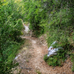 Vidra’s Trail